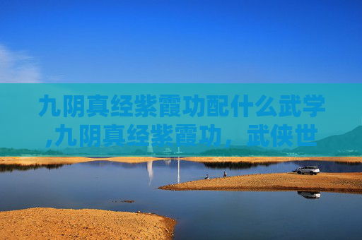 九阴真经紫霞功配什么武学,九阴真经紫霞功，武侠世界中的神秘武学