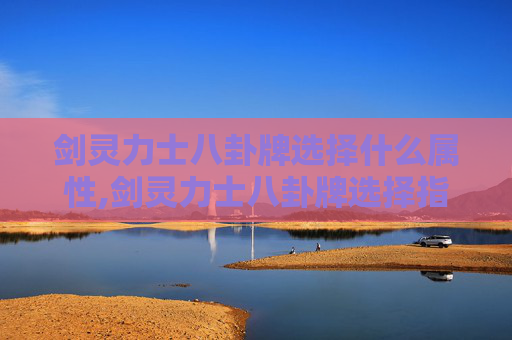 剑灵力士八卦牌选择什么属性,剑灵力士八卦牌选择指南
