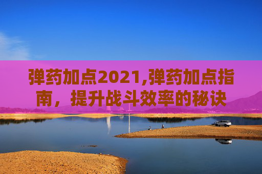 弹药加点2021,弹药加点指南,提升战斗效率的秘诀 弹药加点2021,弹药加点指南,提升战斗效率的秘诀