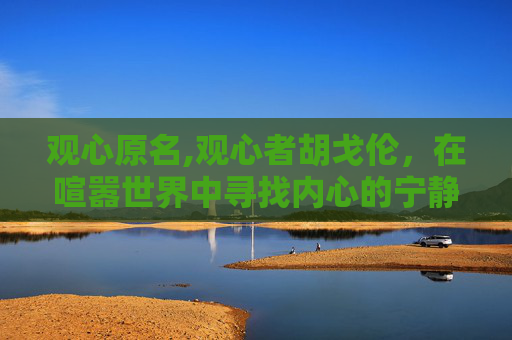 观心原名,观心者胡戈伦，在喧嚣世界中寻找内心的宁静