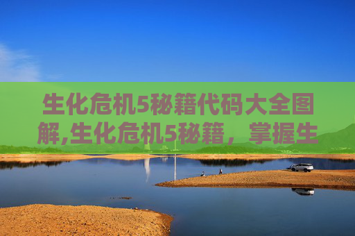 生化危机5秘籍代码大全图解,生化危机5秘籍,掌握生存技巧,成为最后的幸存者 生化危机5秘籍代码大全图解,生化危机5秘籍,掌握生存技巧,成为最后的幸存者
