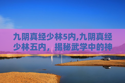 九阴真经少林5内,九阴真经少林五内，揭秘武学中的神秘力量