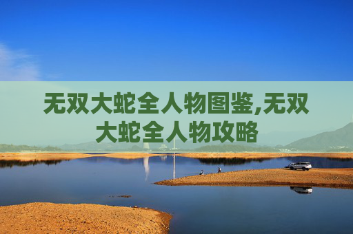 无双大蛇全人物图鉴,无双大蛇全人物攻略