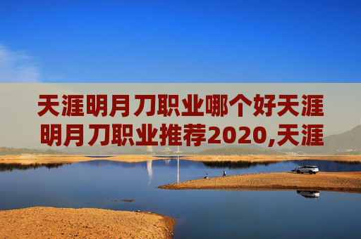 天涯明月刀职业哪个好天涯明月刀职业推荐2020,天涯明月刀职业选择指南，探索各职业的独特魅力与玩法