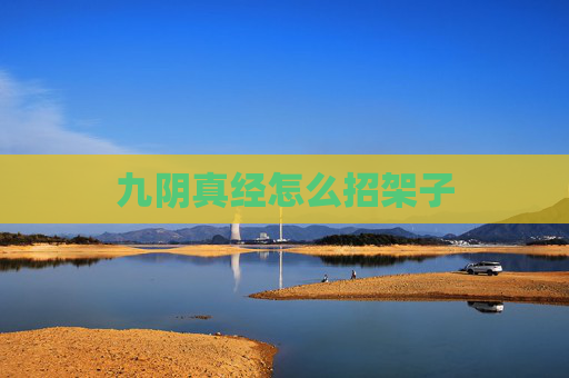 九阴真经怎么招架子
