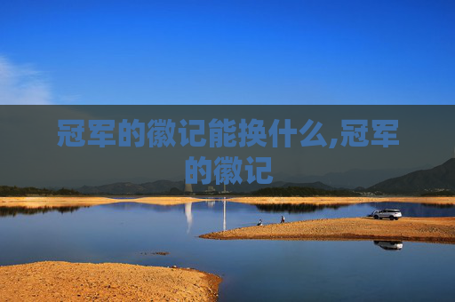 冠军的徽记能换什么,冠军的徽记