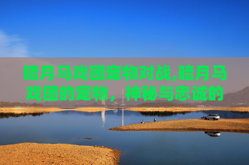 暗月马戏团宠物对战,暗月马戏团的宠物，神秘与忠诚的完美结合