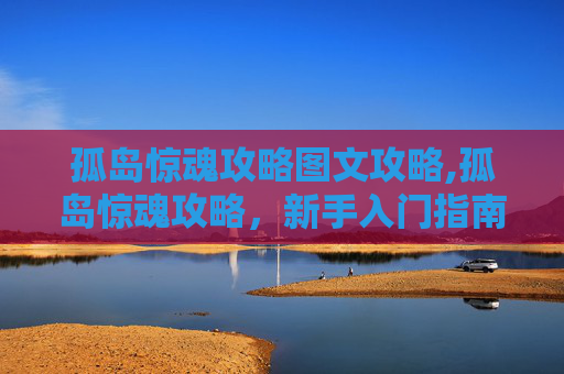 孤岛惊魂攻略图文攻略,孤岛惊魂攻略，新手入门指南