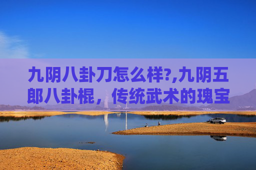 九阴八卦刀怎么样?,九阴五郎八卦棍，传统武术的瑰宝与现代传承