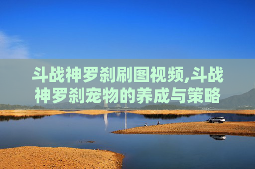 斗战神罗刹刷图视频,斗战神罗刹宠物的养成与策略