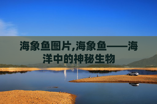 海象鱼图片,海象鱼——海洋中的神秘生物