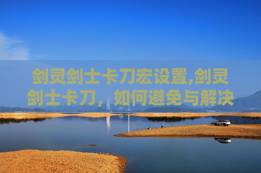 剑灵剑士卡刀宏设置,剑灵剑士卡刀，如何避免与解决这一困扰