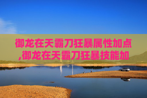 御龙在天霸刀狂暴属性加点,御龙在天霸刀狂暴技能加点指南