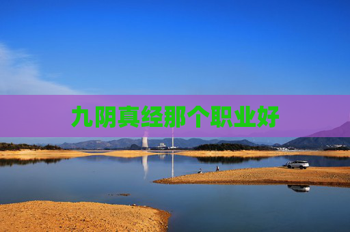 九阴真经那个职业好 九阴真经那个职业好