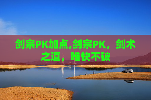 剑宗PK加点,剑宗PK,剑术之道,唯快不破 剑宗PK加点,剑宗PK,剑术之道,唯快不破