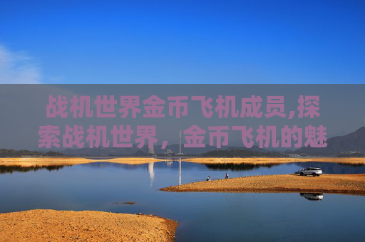 战机世界金币飞机成员,探索战机世界，金币飞机的魅力与挑战