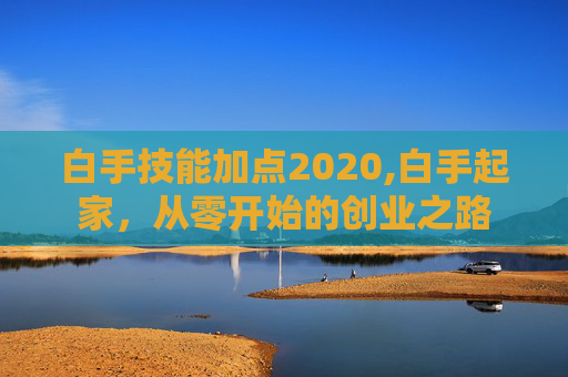白手技能加点2020,白手起家，从零开始的创业之路