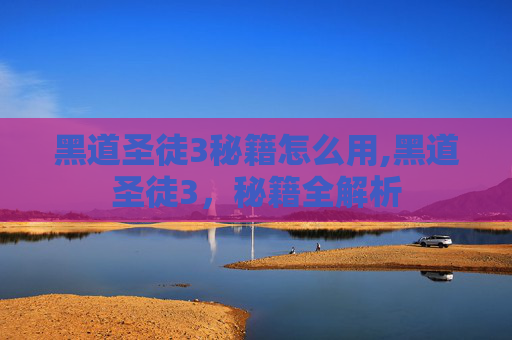 黑道圣徒3秘籍怎么用,黑道圣徒3，秘籍全解析