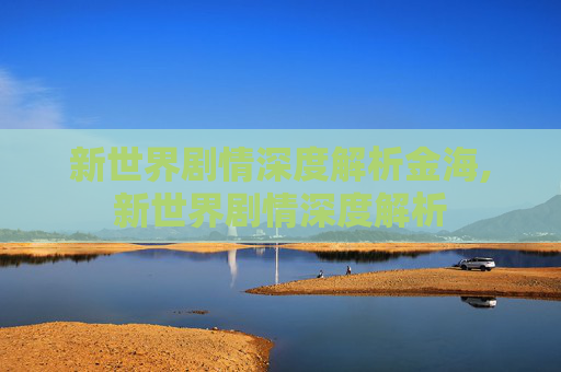 新世界剧情深度解析金海,新世界剧情深度解析