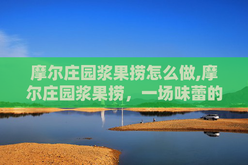 摩尔庄园浆果捞怎么做,摩尔庄园浆果捞，一场味蕾的奇幻之旅