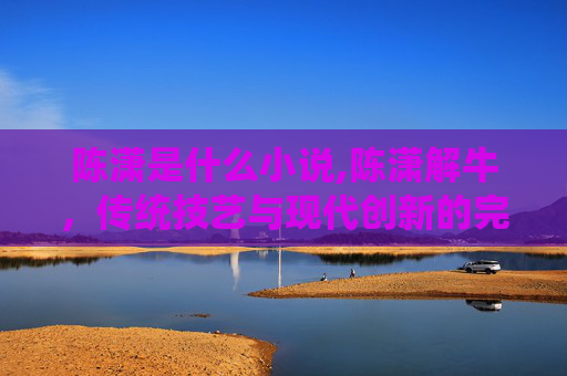 陈潇是什么小说,陈潇解牛,传统技艺与现代创新的完美融合