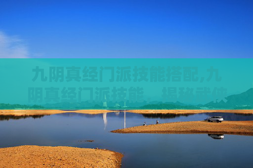 九阴真经门派技能搭配,九阴真经门派技能，揭秘武侠世界中的武学奥秘