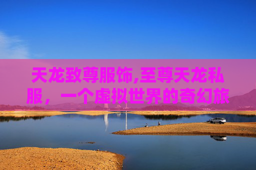 天龙致尊服饰,至尊天龙私服，一个虚拟世界的奇幻旅程