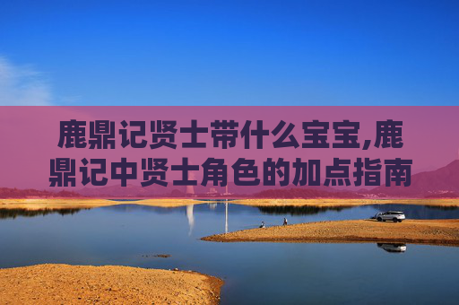鹿鼎记贤士带什么宝宝,鹿鼎记中贤士角色的加点指南
