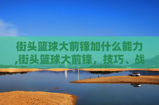 街头篮球大前锋加什么能力,街头篮球大前锋，技巧、战术与实战解析