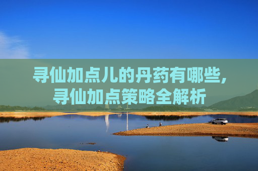 寻仙加点儿的丹药有哪些,寻仙加点策略全解析
