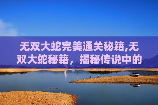 无双大蛇完美通关秘籍,无双大蛇秘籍，揭秘传说中的游戏技巧与策略