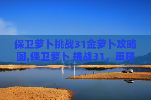 保卫萝卜挑战31金萝卜攻略图,保卫萝卜 挑战31，策略与技巧的完美融合
