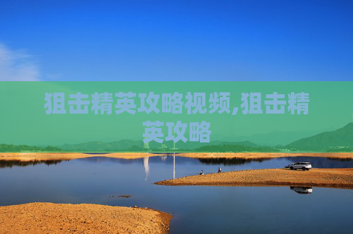 狙击精英攻略视频,狙击精英攻略