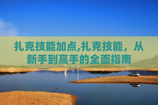 扎克技能加点,扎克技能，从新手到高手的全面指南
