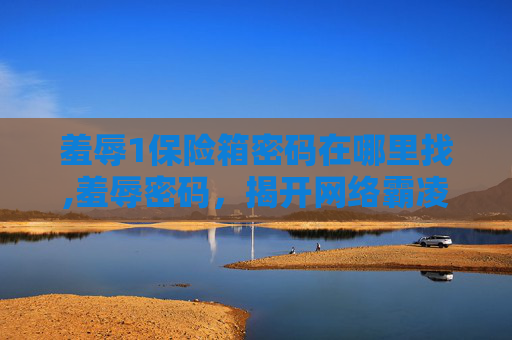 羞辱1保险箱密码在哪里找,羞辱密码，揭开网络霸凌的面纱