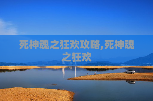 死神魂之狂欢攻略,死神魂之狂欢