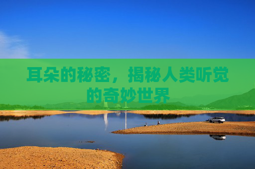 耳朵的秘密,揭秘人类听觉的奇妙世界