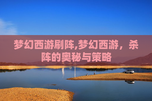 梦幻西游刷阵,梦幻西游，杀阵的奥秘与策略