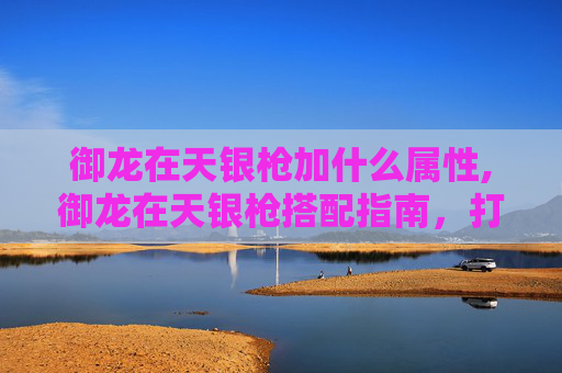 御龙在天银枪加什么属性,御龙在天银枪搭配指南，打造完美战斗组合