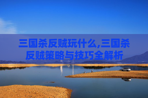 三国杀反贼玩什么,三国杀反贼策略与技巧全解析