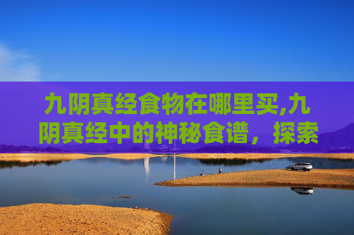 九阴真经食物在哪里买,九阴真经中的神秘食谱，探索武侠世界中的美食之旅