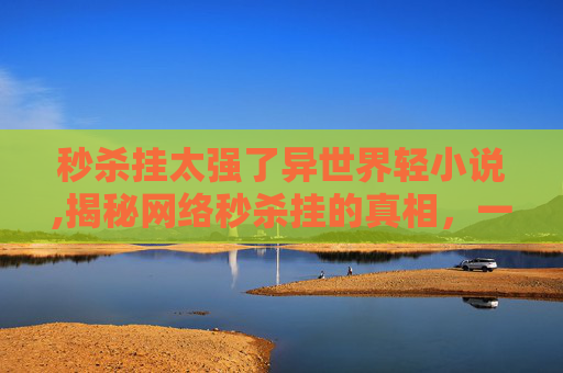 秒杀挂太强了异世界轻小说,揭秘网络秒杀挂的真相，一场关于技术与道德的较量