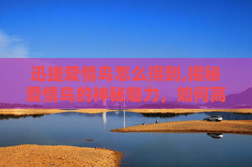 迅捷爱情鸟怎么得到,揭秘爱情鸟的神秘魅力，如何高效地培养和提升你的迅捷爱情鸟