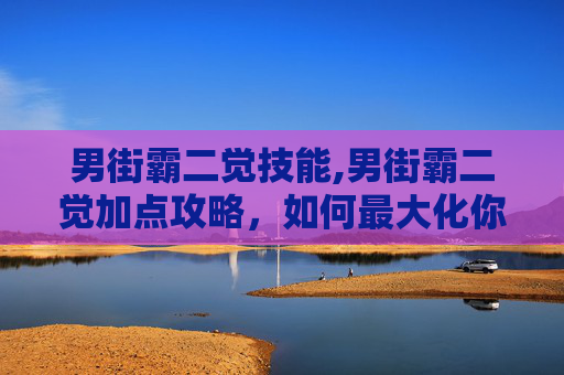 男街霸二觉技能,男街霸二觉加点攻略，如何最大化你的战斗力