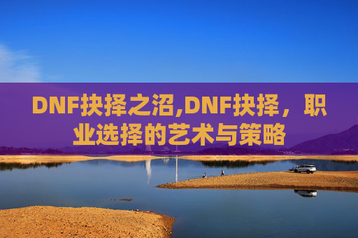 DNF抉择之沼,DNF抉择，职业选择的艺术与策略