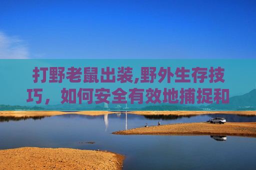 打野老鼠出装,野外生存技巧,如何安全有效地捕捉和处理野老鼠 打野老鼠出装,野外生存技巧,如何安全有效地捕捉和处理野老鼠