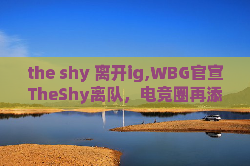 the shy 离开ig,WBG官宣TheShy离队，电竞圈再添变数