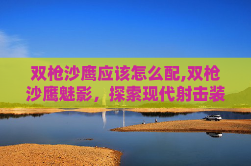 双枪沙鹰应该怎么配,双枪沙鹰魅影，探索现代射击装备的魅力与挑战