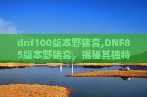dnf100版本野猪套,DNF85版本野猪套,揭秘其独特魅力与玩家心声 dnf100版本野猪套,DNF85版本野猪套,揭秘其独特魅力与玩家心声