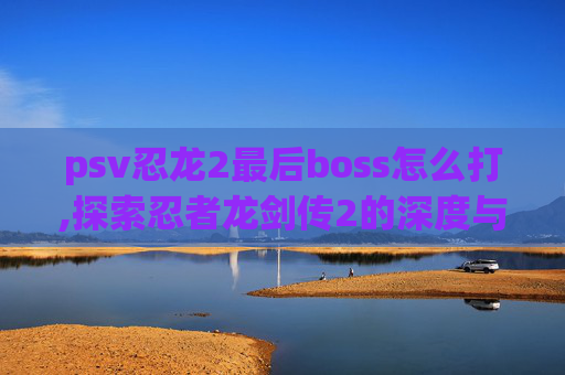 psv忍龙2最后boss怎么打,探索忍者龙剑传2的深度与魅力